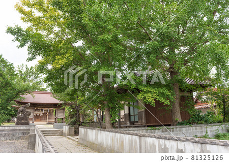 島根半島四十二浦　18　古浦天満宮 81325126