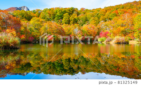 鎌池の紅葉 鎌池の紅葉 81325149