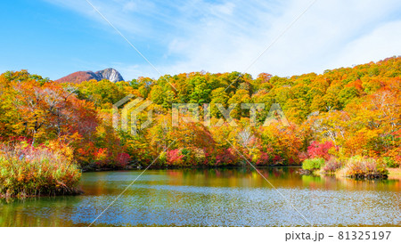 鎌池の紅葉 81325197