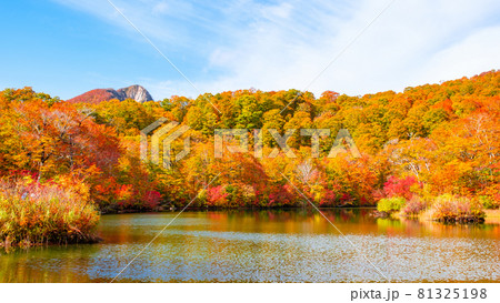 鎌池の紅葉 81325198