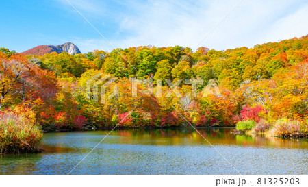 鎌池の紅葉 81325203