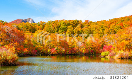 鎌池の紅葉 鎌池の紅葉 81325204