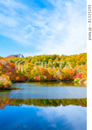 鎌池の紅葉 鎌池の紅葉 81325205