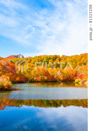 鎌池の紅葉 81325206
