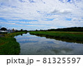 夏の川べりの青空の風景 81325597