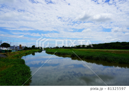 夏の川べりの青空の風景 81325597