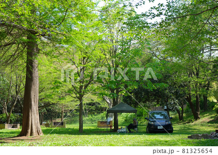 新緑のオートキャンプ場癒しリフレッシュイメージ写真素材 81325654
