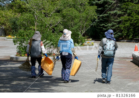 作業, 芝刈り, 草刈り, 肉体仕事, 肉体作業, 土木作業, 仕事, 草,雑草, 働く, 作業 81326166