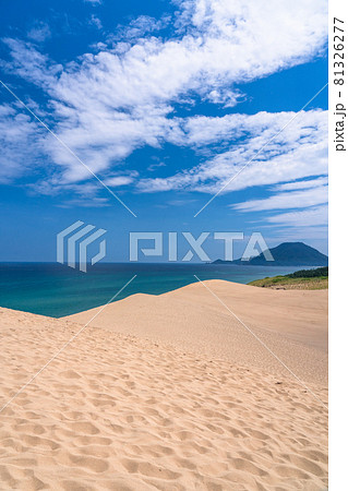 《鳥取県》鳥取砂丘・夏の晴天下 81326277