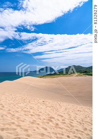 《鳥取県》鳥取砂丘・夏の晴天下 81326279