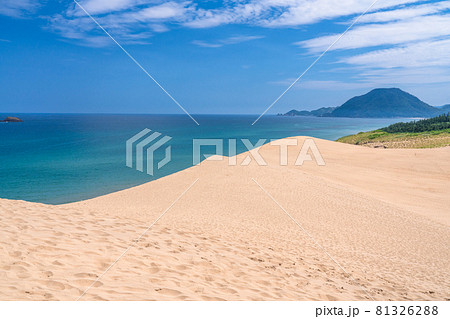 《鳥取県》鳥取砂丘・夏の晴天下 81326288