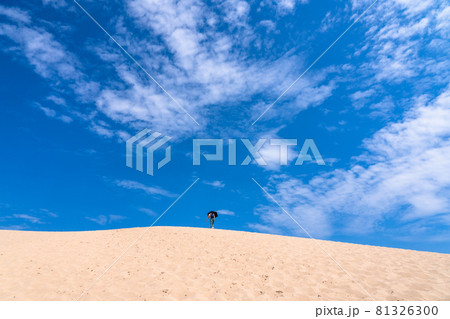 《鳥取県》鳥取砂丘・夏の晴天下 《鳥取県》鳥取砂丘・夏の晴天下 81326300