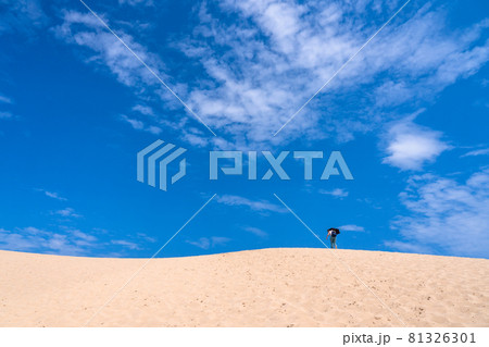 《鳥取県》鳥取砂丘・夏の晴天下 81326301