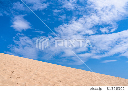 《鳥取県》鳥取砂丘・夏の晴天下 《鳥取県》鳥取砂丘・夏の晴天下 81326302