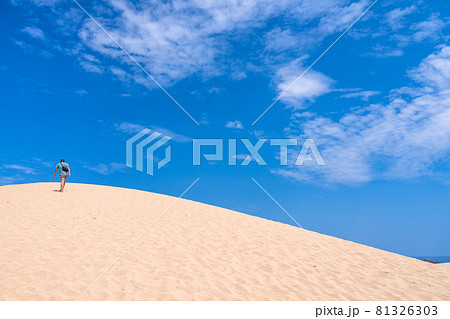 《鳥取県》鳥取砂丘・夏の晴天下 81326303