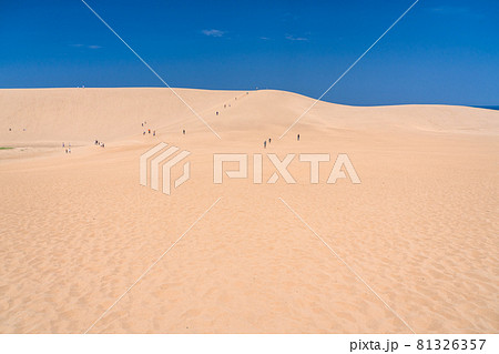 《鳥取県》鳥取砂丘・夏の晴天下 81326357
