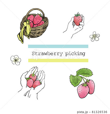 いちご狩り（カラー）2 81326536