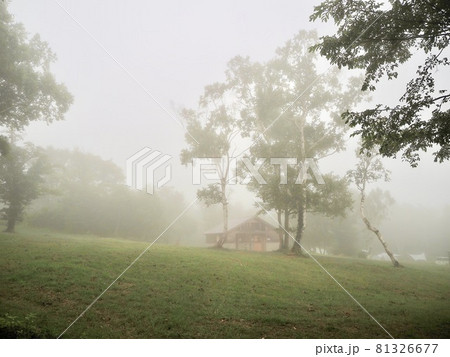 新潟県 妙高市 雨と霧の笹ヶ峰キャンプ場 新潟県 妙高市 雨と霧の笹ヶ峰キャンプ場 81326677
