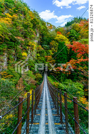樅木の吊橋「秋晴れ、秘境の山並み紅葉風景を背景に、あやとり橋風景」日本2020年(秋)撮影 樅木の吊橋「秋晴れ、秘境の山並み紅葉風景を背景に、あやとり橋風景」日本2020年(秋)撮影 81326874