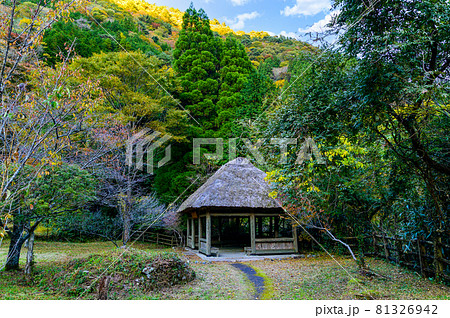 樅木の吊橋「秋晴れ、秘境の山並み紅葉風景を背景に、かやぶき屋根の休憩所」日本2020年(秋)撮影 樅木の吊橋「秋晴れ、秘境の山並み紅葉風景を背景に、かやぶき屋根の休憩所」日本2020年(秋)撮影 81326942