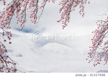 淡雪を纏った満開の桜と雲の中に浮かぶ吾妻小富士の白いシルエットです 淡雪を纏った満開の桜と雲の中に浮かぶ吾妻小富士の白いシルエットです 81327686