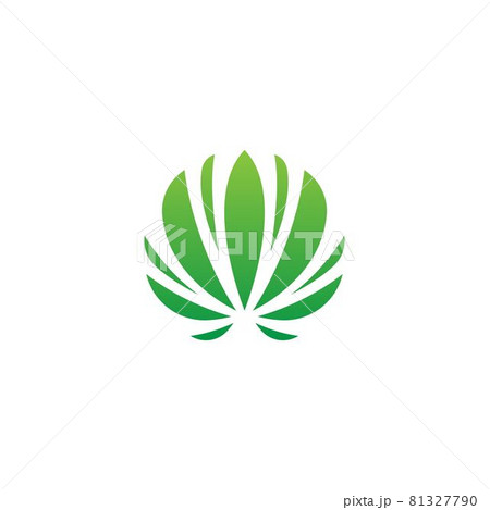 canabis marijuana sign symbol illustration canabis marijuana sign symbol illustration 81327790