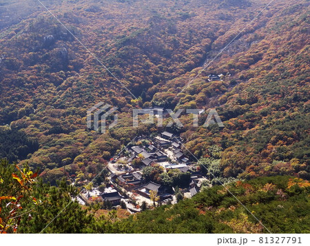 秋 紅葉 風景 81327791