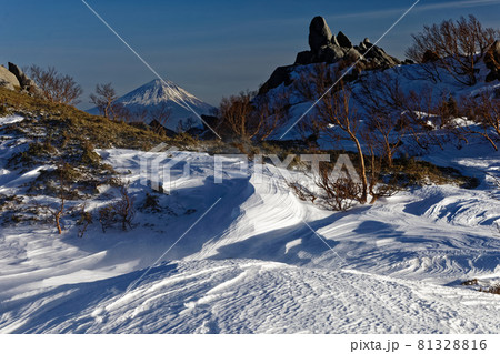 雪煙上がる南アルプス・鳳凰三山・薬師岳から見る富士山 81328816