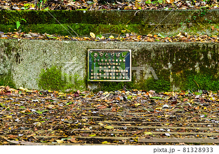 樅木の吊橋「秋晴れ、秘境の紅葉風景　案内・施工」日本2020年(秋)撮影 81328933