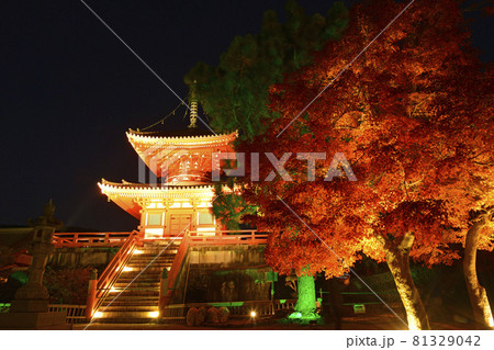 【京都　嵯峨野　大覚寺の紅葉ライトアップ】　秋イメージ　 81329042