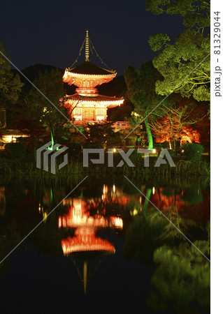 【京都　嵯峨野　大覚寺の紅葉ライトアップ】　秋イメージ　 81329044