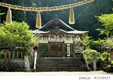 日雲神社 (参道から鳥居・拝殿)【滋賀県甲賀市信楽町】 日雲神社 (参道から鳥居・拝殿)【滋賀県甲賀市信楽町】 81329427