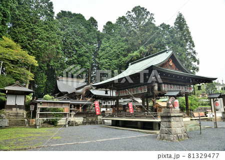 紫香楽一宮・新宮神社(舞殿・本殿) 【滋賀県甲賀市信楽町】 紫香楽一宮・新宮神社(舞殿・本殿) 【滋賀県甲賀市信楽町】 81329477