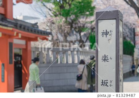 【神楽坂 毘沙門天 善國寺と桜】 【神楽坂 毘沙門天 善國寺と桜】 81329487
