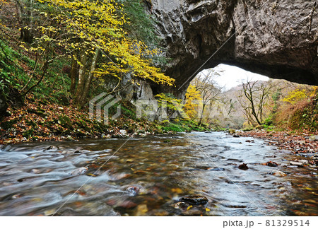 帝釈峡(国定公園、名勝、中国山地、広島県庄原市東城町〜神石高原町) 帝釈峡(国定公園、名勝、中国山地、広島県庄原市東城町〜神石高原町) 81329514