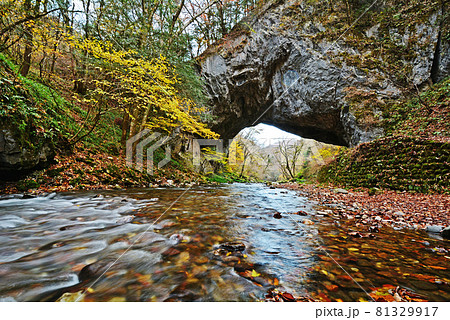 帝釈峡の紅葉 81329917