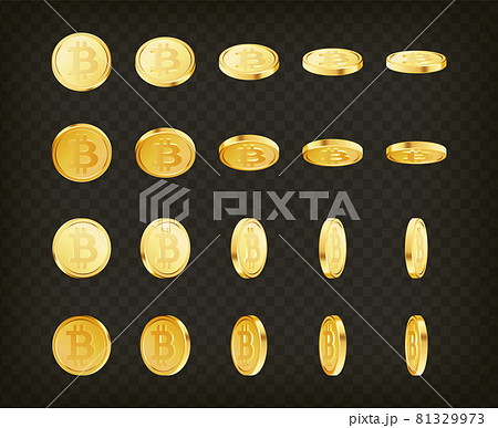 Golden cryptocurrency crypto cash, money set. Rotating gold bitcoin coins 81329973