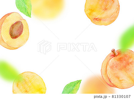 杏 アプリコット 水彩フレームのイラスト素材