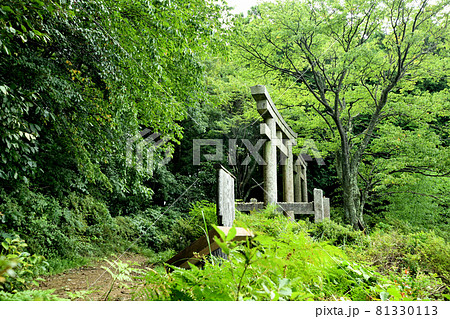 高野山町石道　二つ鳥居　【和歌山県伊都郡かつらぎ町】 81330113