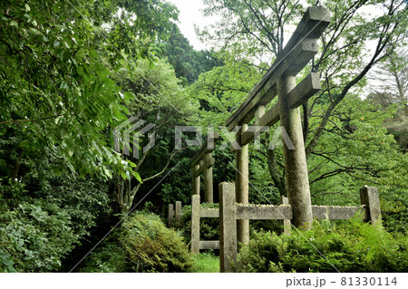 高野山町石道 二つ鳥居 【和歌山県伊都郡かつらぎ町】 高野山町石道 二つ鳥居 【和歌山県伊都郡かつらぎ町】 81330114