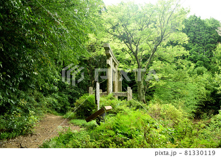 高野山町石道 二つ鳥居 【和歌山県伊都郡かつらぎ町】 高野山町石道 二つ鳥居 【和歌山県伊都郡かつらぎ町】 81330119