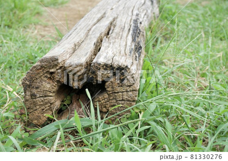 木の椅子 木の椅子 81330276