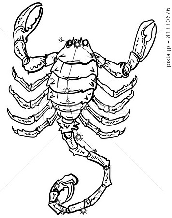 黄道十二星座-さそり座の星座線 81330676