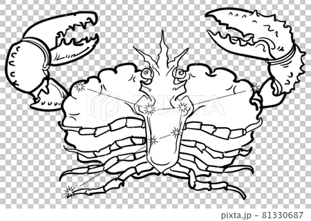 黃道星座-巨蟹星座線 黃道星座-巨蟹星座線 81330687