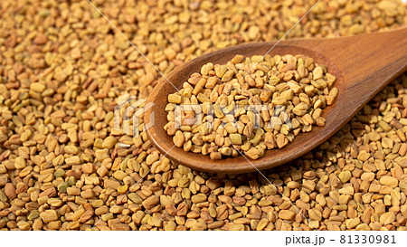 フェネグリークシードまたはフェヌグリークシード(Fenugreek)別名:胡盧巴(ころは)、メッチ、 フェネグリークシードまたはフェヌグリークシード(Fenugreek)別名:胡盧巴(ころは)、メッチ、 81330981