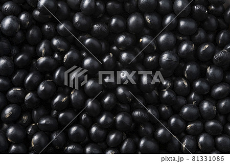 北海道産の黒豆 北海道産の黒豆 81331086