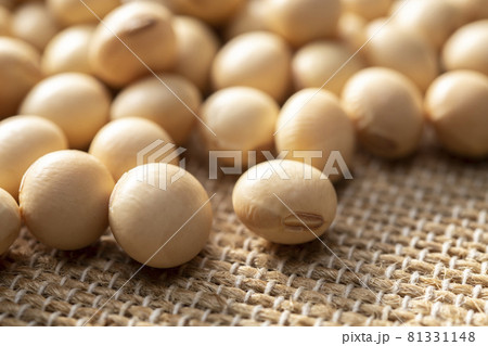 北海道産の大豆 81331148