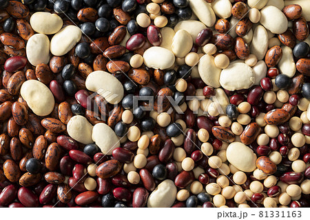 多種類の豆の集合 81331163