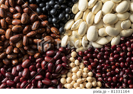 多種類の豆の集合 81331164