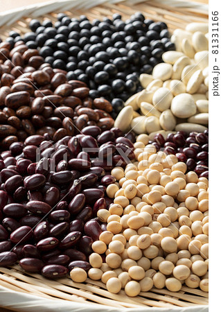 多種類の豆の集合 多種類の豆の集合 81331166